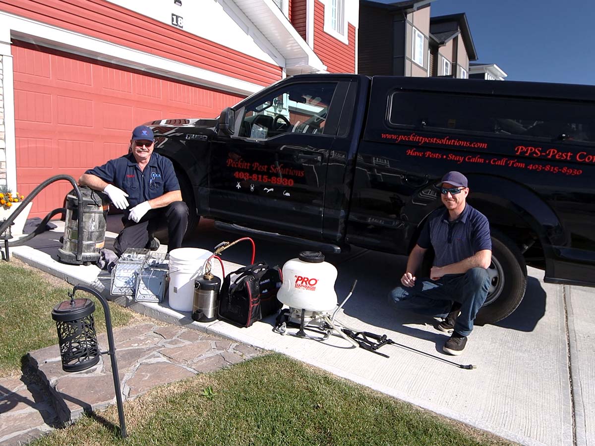 Pest Control Calgary